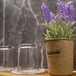 Апарт-готель Mascot Boutique