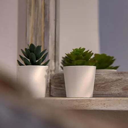 アパートホテル Mascot Boutique 4*