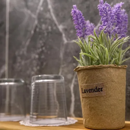 شقة فندقية Mascot Boutique