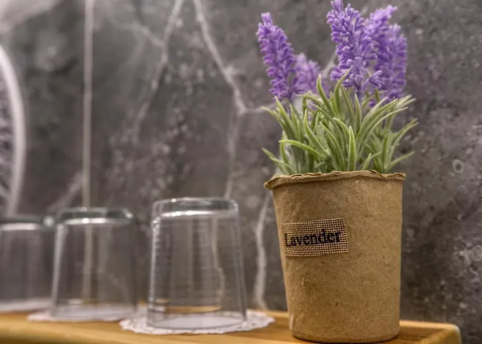 Apart-hotel Mascot Boutique